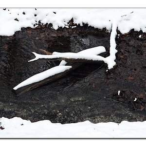 schneeform5