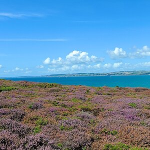 Lestrevet Bretagne