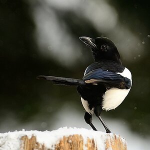 71418