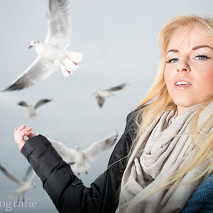 Die Vögel