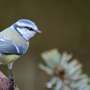 DSC7055 1