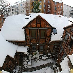DSC 4471a