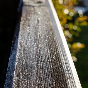 DSC 3345