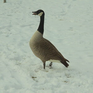 Bilder 24 02 13 237 1