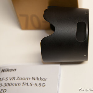 20130226 20130226 DSC 5260