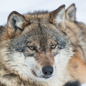 20130222 DSC00204