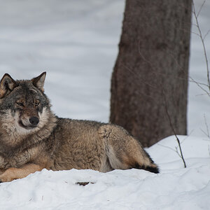 20130222 DSC 5435