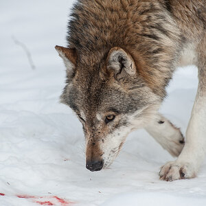 20130222 DSC 5450
