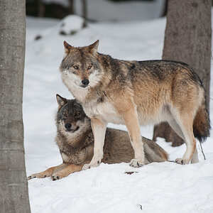 20130222 DSC 5463