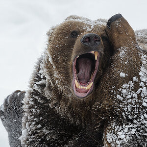 20130224 0555 NX 1000Px