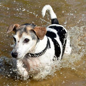 Moni in the water