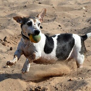 Balls on beach