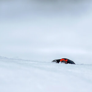 20130223 285NX