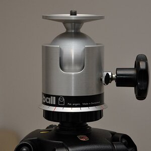 DSC 3950