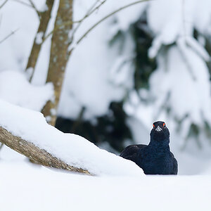 20130223 161 NX 1000Px