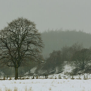 201024baumwiese