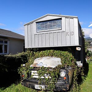 DSC 5430NZ