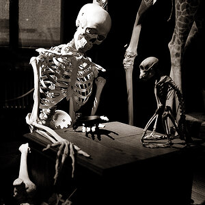 faust und homunkulus