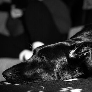 comp img034 bearbeitet

Nikon F3 mit Nikon Ai 50 1.4 auf TMax 400