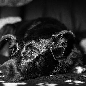 comp img035 bearbeitet

Nikon F3 mit Nikon Ai 50 1.4 auf TMax 400