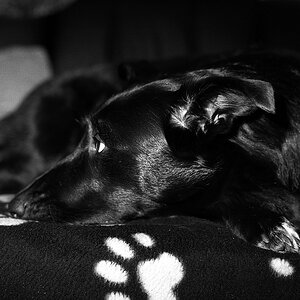 comp img036 bearbeitet

Nikon F3 mit Nikon Ai 50 1.4 auf TMax 400