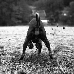 comp img008 bearbeitet

Nikon F3 mit Nikon Ai 50 1.4 auf TMax 400