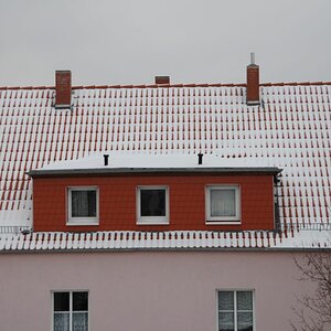 DSC 0042
