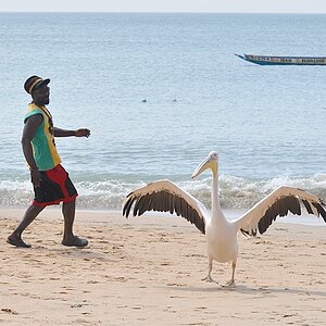Senegal Tanz 2