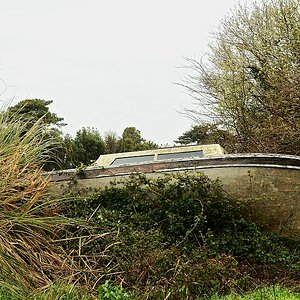 DSC 0976 ji