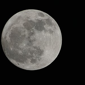 Mond