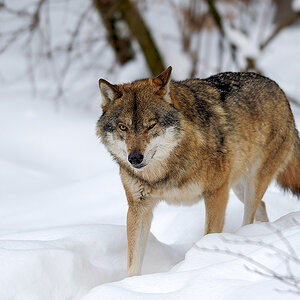 20130222 0004 NX 1000px