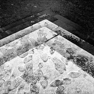 Treppe Gravenhorst 10.02.2013
