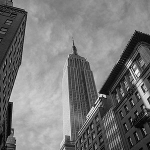ny webline03