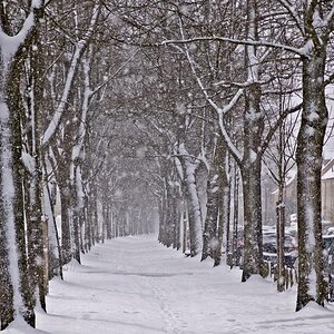 DSC0006157   
Hamburg Ebertallee. 
Das Schneetreiben ging bis zum Dunkel werden weiter. 
D 70s + AF Nikkor 28-105 mm 3.5-4.5 D   
105mm   f13   1/320 
