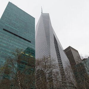 ny webline12