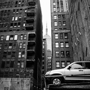 ny webline13