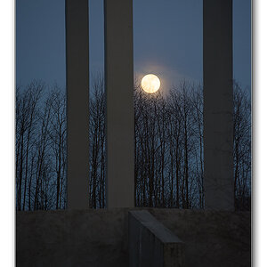 mond