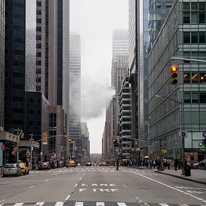 ny webline23