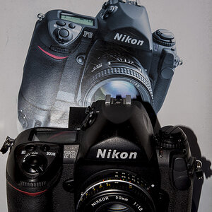 Nikon F6 0,0 MP 2