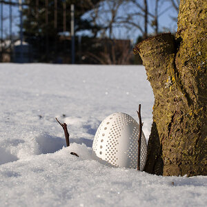 20130312  DSC1611