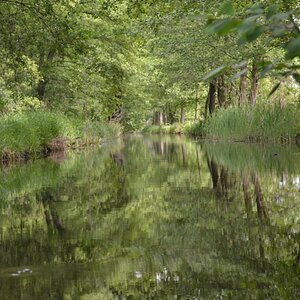 Buschgraben