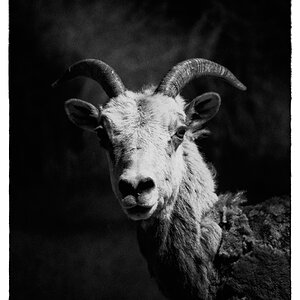 buUntitled (90)