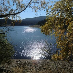Eckertalsperre