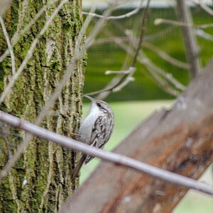 20130217 3768 [NIKON 1 V1] 200 mm,1 80 Sek. bei ƒ   3,2