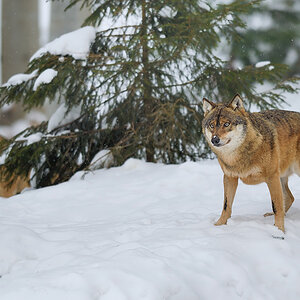 20130222 0027 NX1000px