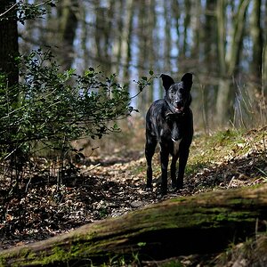 comp DSC 4474 bearbeitet