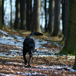 comp DSC 4479 bearbeitet