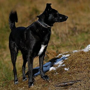 comp DSC 4516 bearbeitet