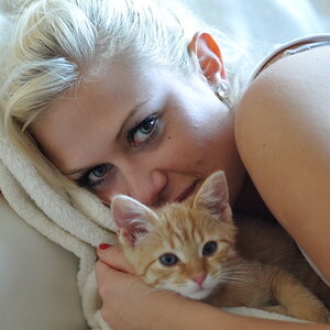 cb 110901 0005 cat nff