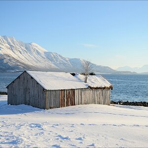 aacomp tromsöDSC 6663 20130217 1185